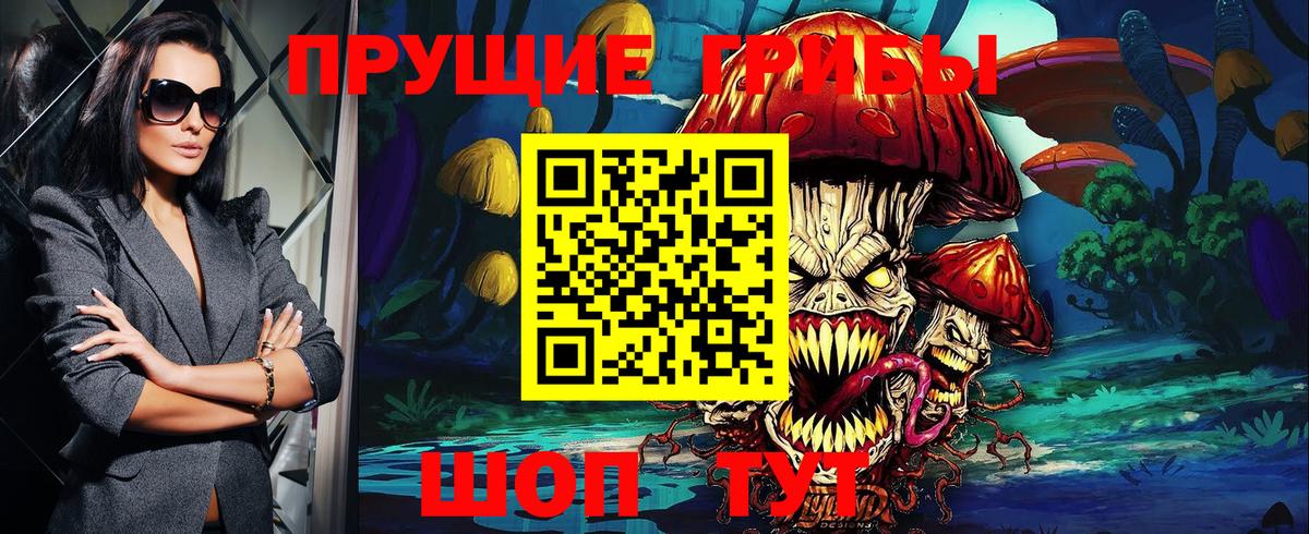Псилоцибиновые грибы Psilocybine cubensis Унеча